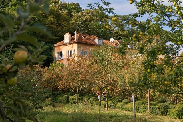 0039Arboretum Vallee aux loups.jpg - SONY DSC